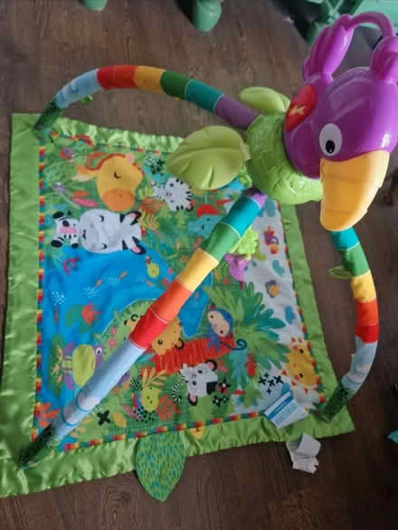 Photo of free Fisher price baby play mat (Hereford HR1) #1