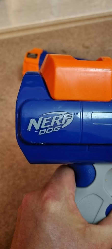 Photo of free Nerf dog (Grange EH9) #2