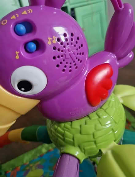 Photo of free Fisher price baby play mat (Hereford HR1) #3