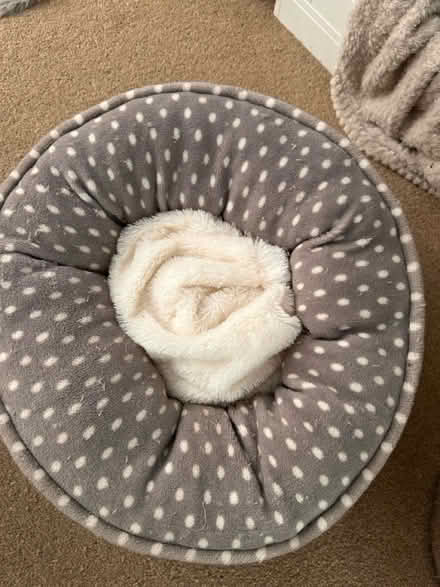 Photo of free Cat bed (RG30, Reading West) #2