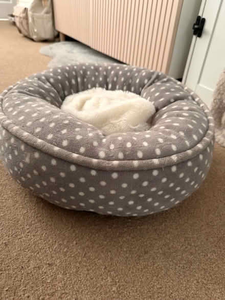 Photo of free Cat bed (RG30, Reading West) #1