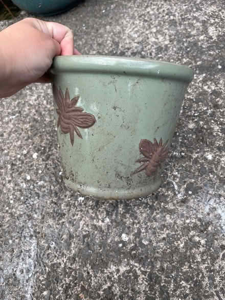 Photo of free Small plant pot (Barry CF62) #2