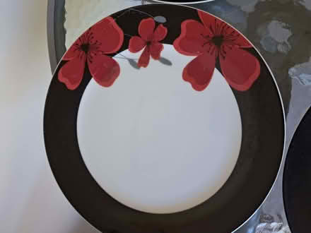 Photo of free Four Dinner Plates (Kimberley NG16) #3