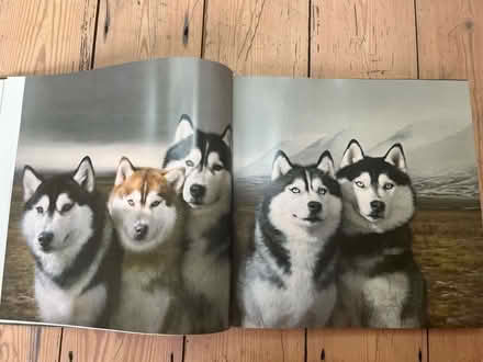 Photo of free Dogs Gods book (BN41) #3
