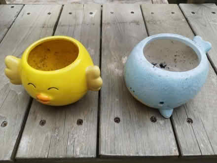 Photo of free 2 small plant pots (Odd Down, BA2) #1