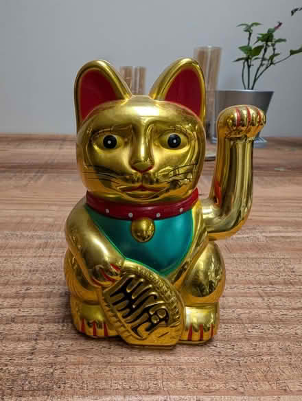 Photo of free Lucky Cat (Woking GU22) #1