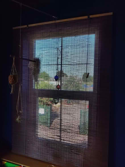 Photo of free Two cane roller blinds (Leeman Road YO26) #3