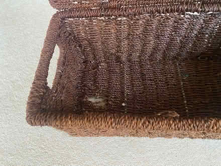 Photo of free Little Basket (Canford Cliffs BH13) #4