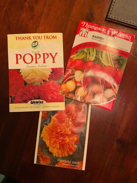 Photo of free Plant pots, watering can & seeds (Wheatley HX2) #2