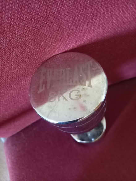Photo of free Weight 8kg (Raynes Park SW20) #2
