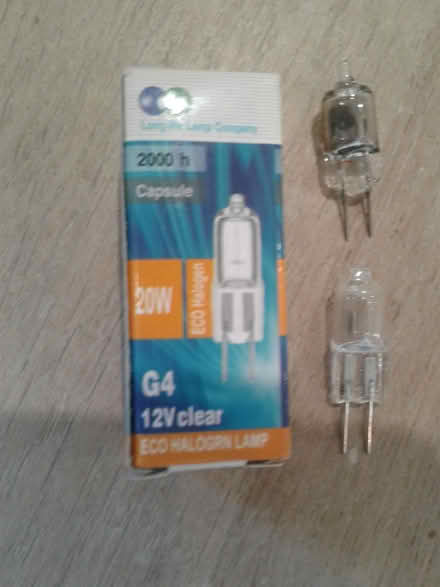 Photo of free G4 20w bulbs (London Fields, E8) #1