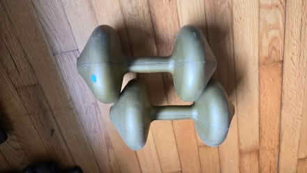 Photo of free 10 pound weights (Ulster Park) #1