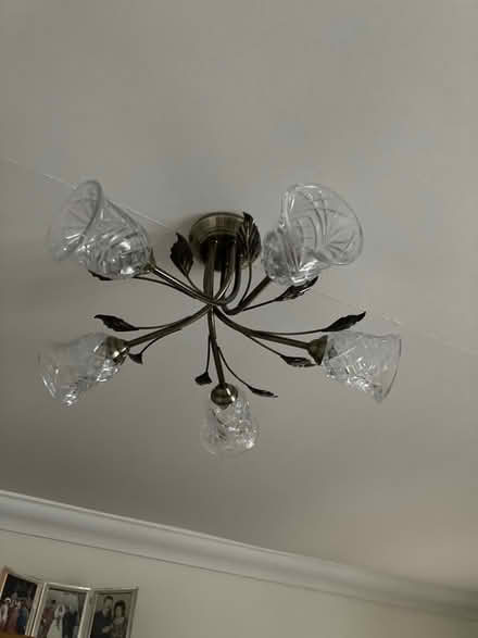 Photo of free Ceiling Lights (Taverham NR8) #2