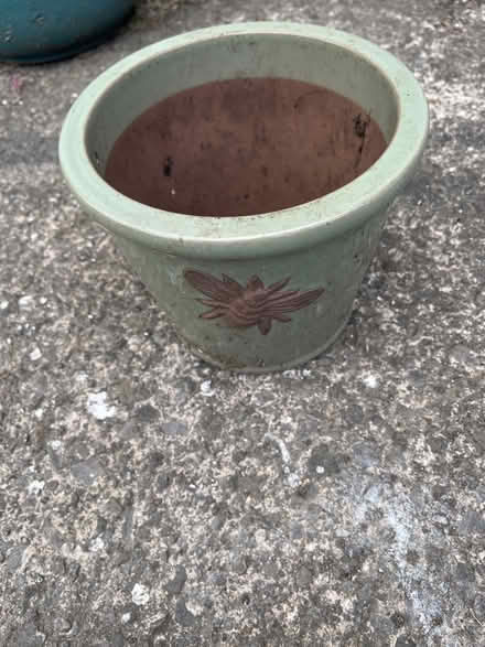 Photo of free Small plant pot (Barry CF62) #1