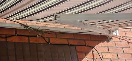 Photo of free Awning (Waddon TQ13) #2