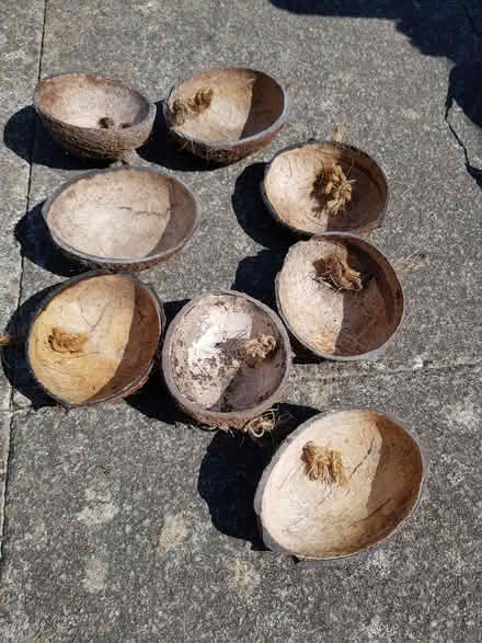 Photo of free Coconut Shells (North Abingdon, OX14) #1