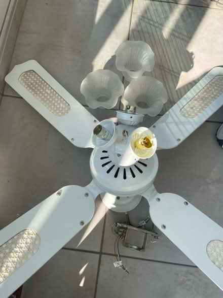 Photo of free Ceiling Fan (Walton-on-Thames KT12) #1