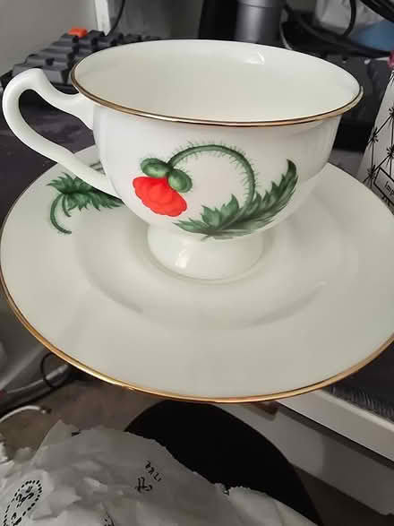 Photo of free Teacup and saucer. Porcelain. (Woking GU21) #1