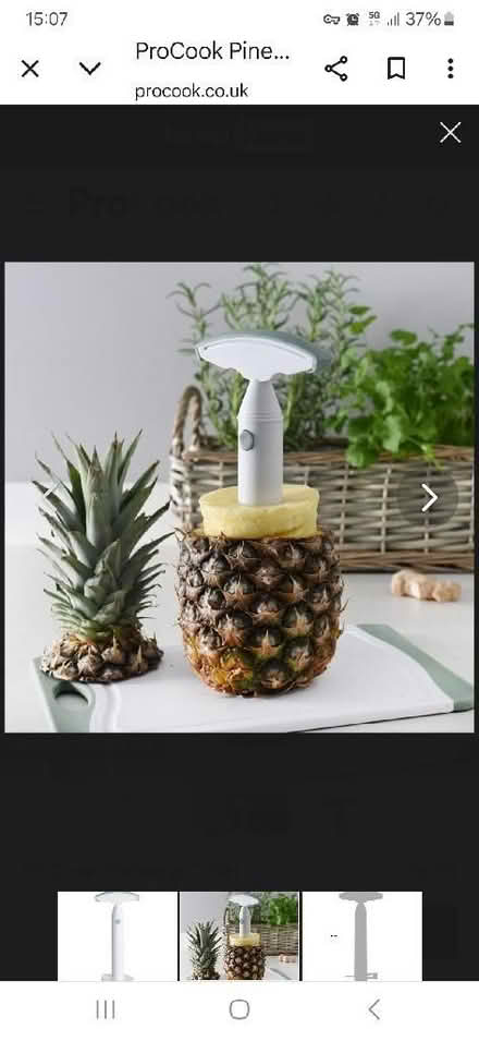 Photo of free Pineapple corer and slicer (Paulsgrove PO6) #2