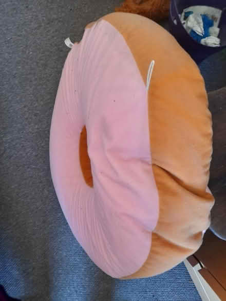 Photo of free Donut Cushion (Colwick NG4) #2