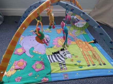 Photo of free Animal-themed baby activity mat (West Haddon) #1