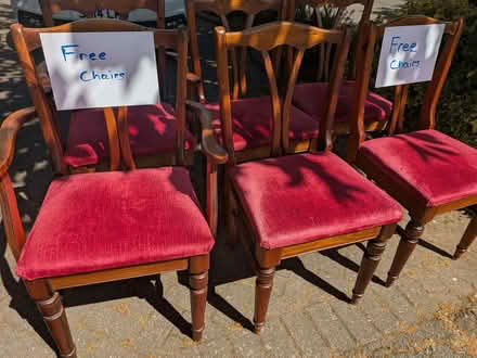 Photo of free Six Dining Chairs (Sharmans Cross B91) #1