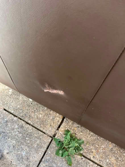 Photo of free Brown leather sofa (TN10 Tonbridge/Hildenborough) #2