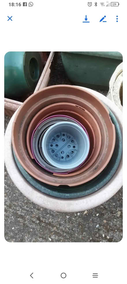Photo of free Plant pots (Elstow MK42) #3