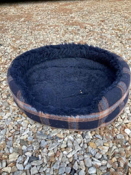 Photo of free Cat bed (Catton NR6) #2