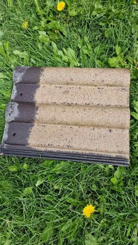 Photo of free Sandtoft double roman roof tiles (WF2) #1