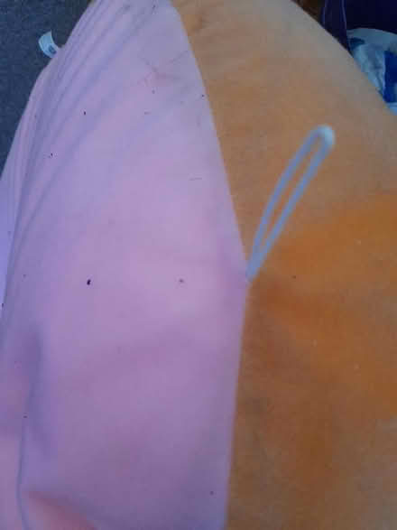 Photo of free Donut Cushion (Colwick NG4) #4