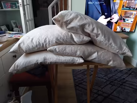 Photo of free 4 Cushions (ME12) #1