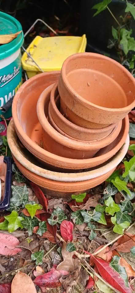 Photo of free Small terracotta pots (West Felton SY11) #1