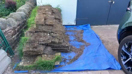 Photo of free Lifted turf (Eamont Bridge CA10) #4