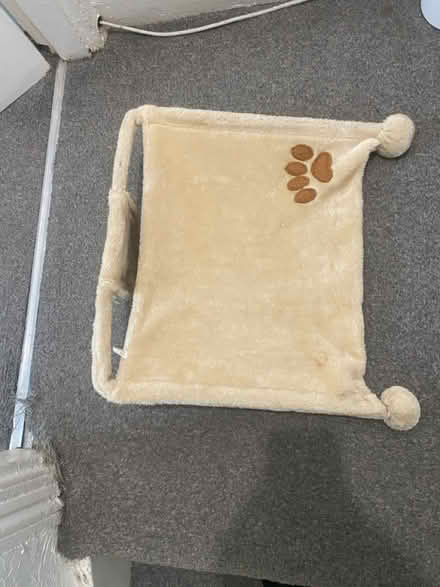 Photo of free Cat Hammock (ME5 Chatham) #2
