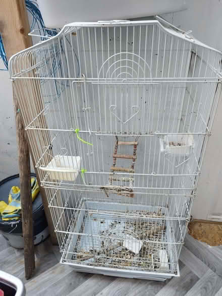 Photo of free Bird cage (Tottenham N17) #2