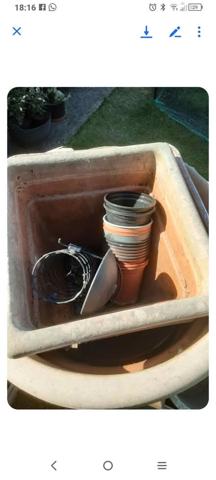 Photo of free Plant pots (Elstow MK42) #2