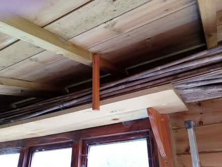 Photo of free garden canes (Loughborough LE11) #1