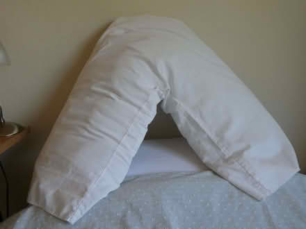 Photo of free Support Pillow With Cover (CT13) #1