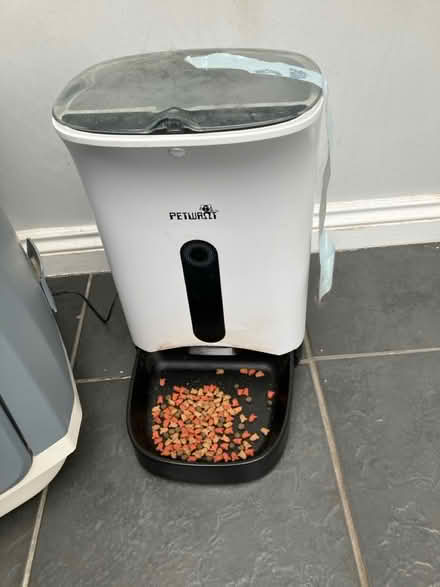 Photo of free cat stuff (G14) #2