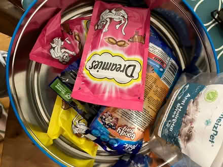 Photo of free cat stuff (G14) #4