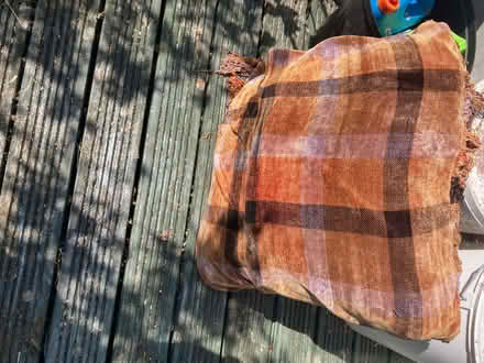 Photo of free King sized duvet and large cushion with cover (Hallgarth LA9) #3