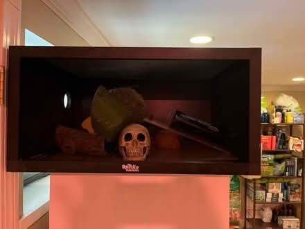 Photo of free 12 by 12 by 18 black terrarium (Near School at Mount Auburn.) #1