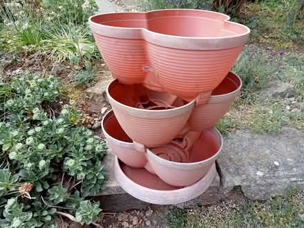 Photo of free One Planter (Tadmarton OX15) #2