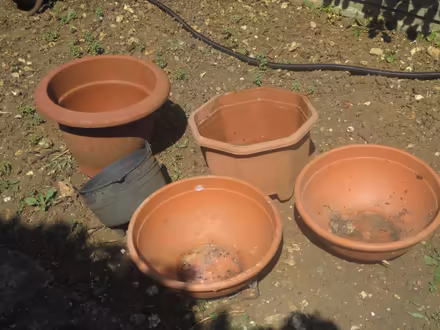 Photo of free Plastic plant pots (Portslade) #1