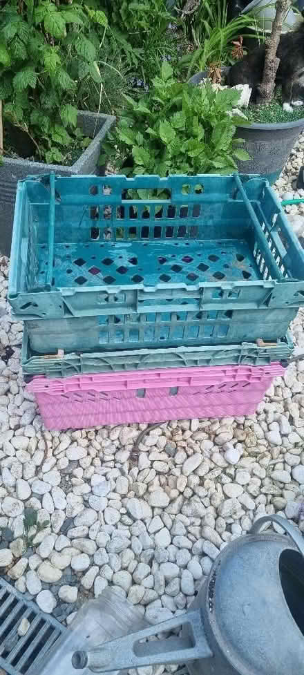 Photo of free 3 plastic crates (Hailsham BN27) #1