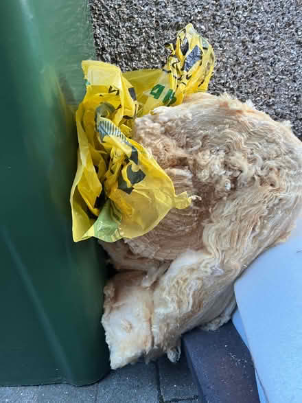 Photo of free Insulation (Midsomer Norton) #1