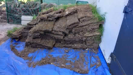 Photo of free Lifted turf (Eamont Bridge CA10) #3