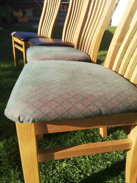 Photo of free 4 dining chairs (Craiglockhart EH14) #3