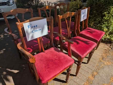 Photo of free Six Dining Chairs (Sharmans Cross B91) #2